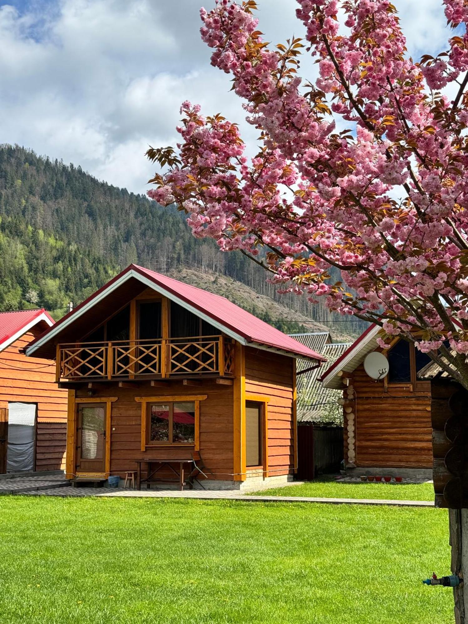 Zajazd Eco Centr Zrub Maydan